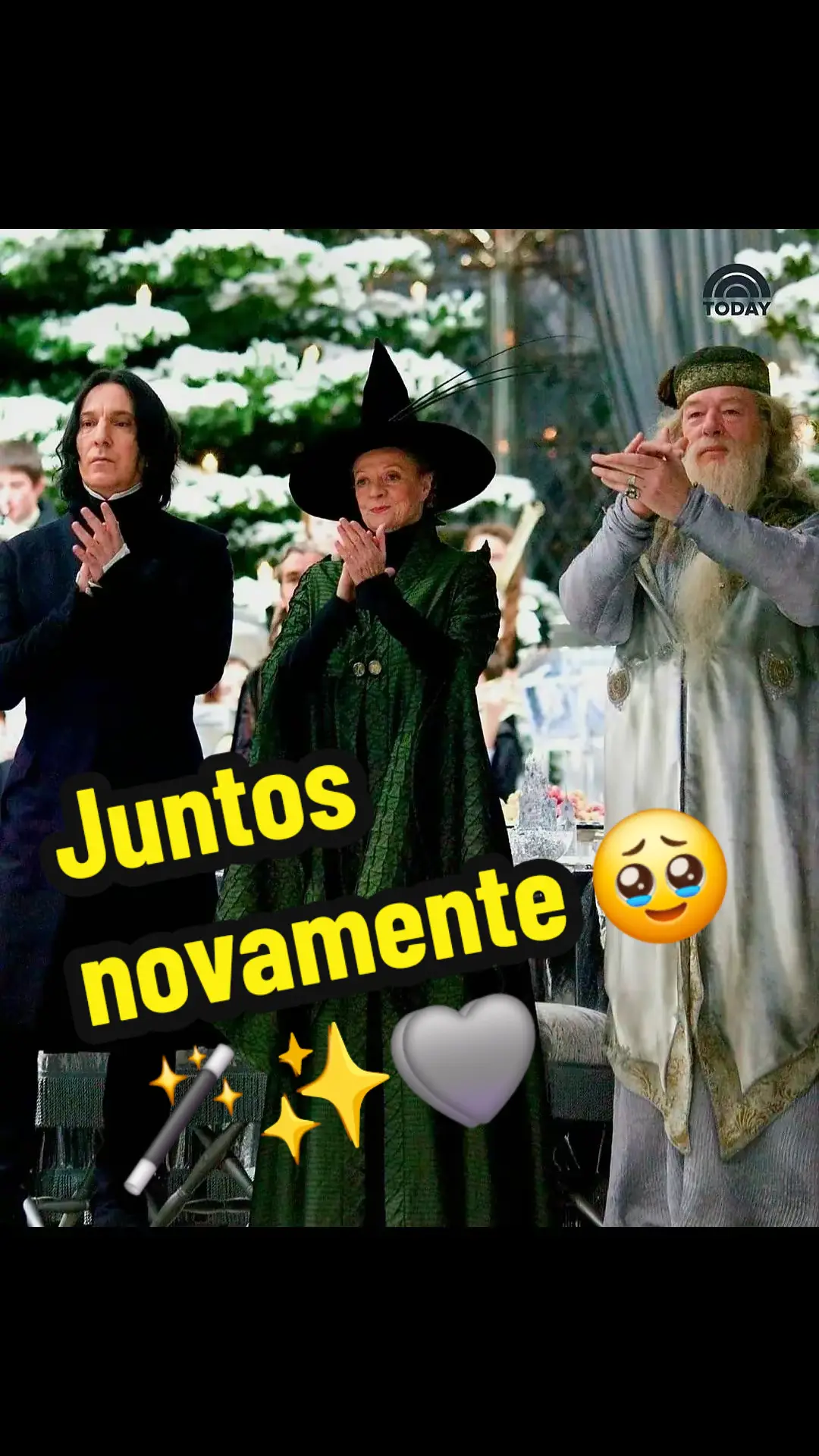 Meus favoritos estão juntos novamente 🥹🥰 #harrypotter #minervamconagall #dumbledore #snape 