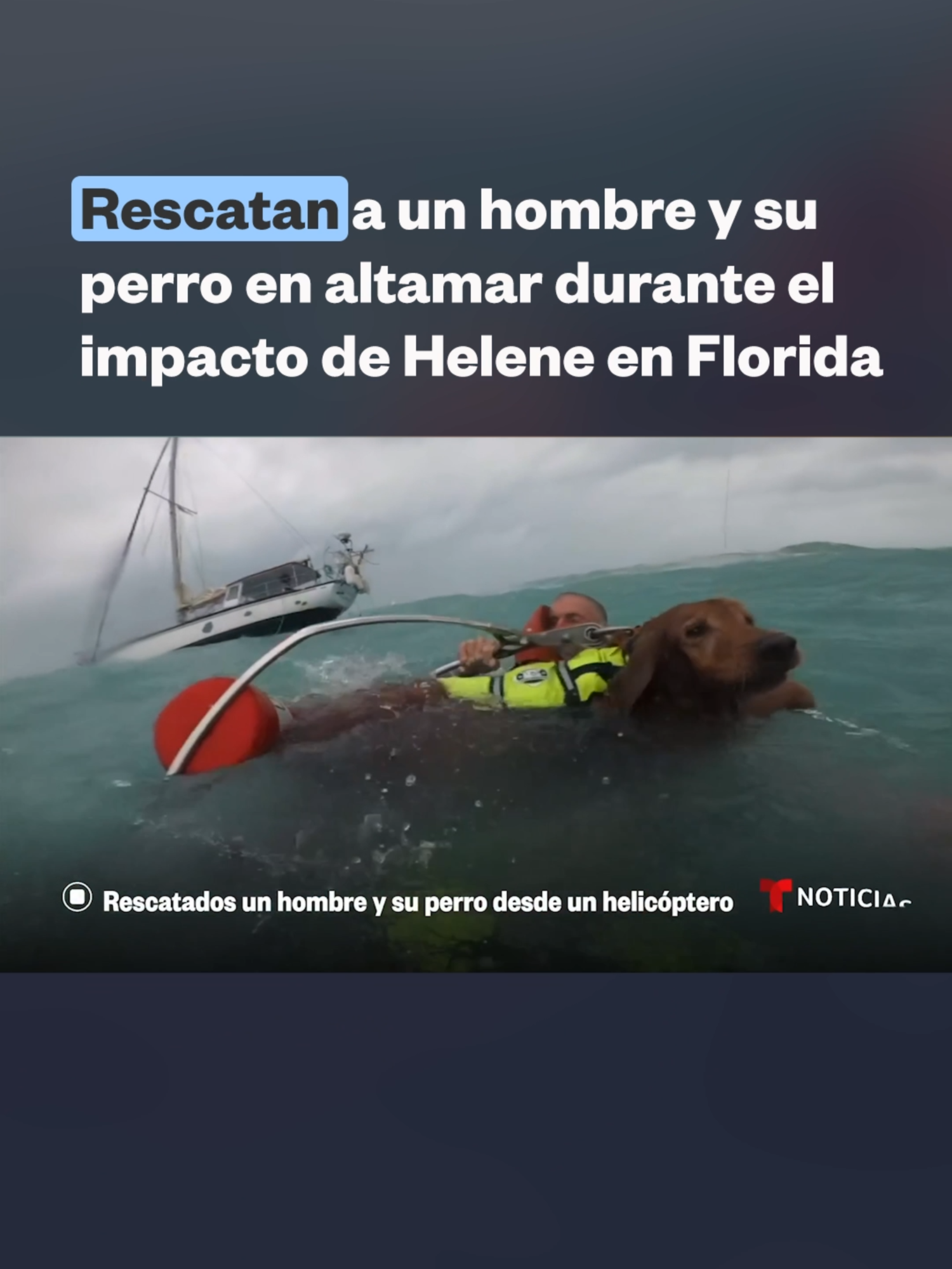 🛟 Rescatan a hombre y su perro desde un helicóptero en Florida: la pequeña embarcación en la que iban se volcó en el mar, agitado ante el paso de Helene. Según los guardacostas, la embarcación había quedado a la deriva a unas 25 millas de distancia de las costas de la isla de Sanibel.