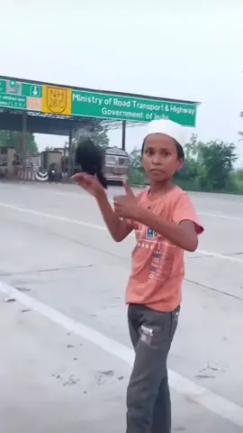 Bros the pigeon keeper #fyp #india #viral #wtf #geekhard 