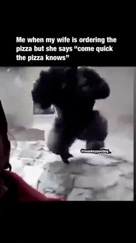 #fyp #monkeymemes #baboon  #spicymemes   #illegalmemes  #jetfuelcantmeltsteelbeams  #gorilla  #randomchimpevent  #monkeypose  #ifunny  #harambe  #schizomemes  #stolenmemes  #repost  #monkeymemes  #monkeysoftiktok  #monkeymeme 