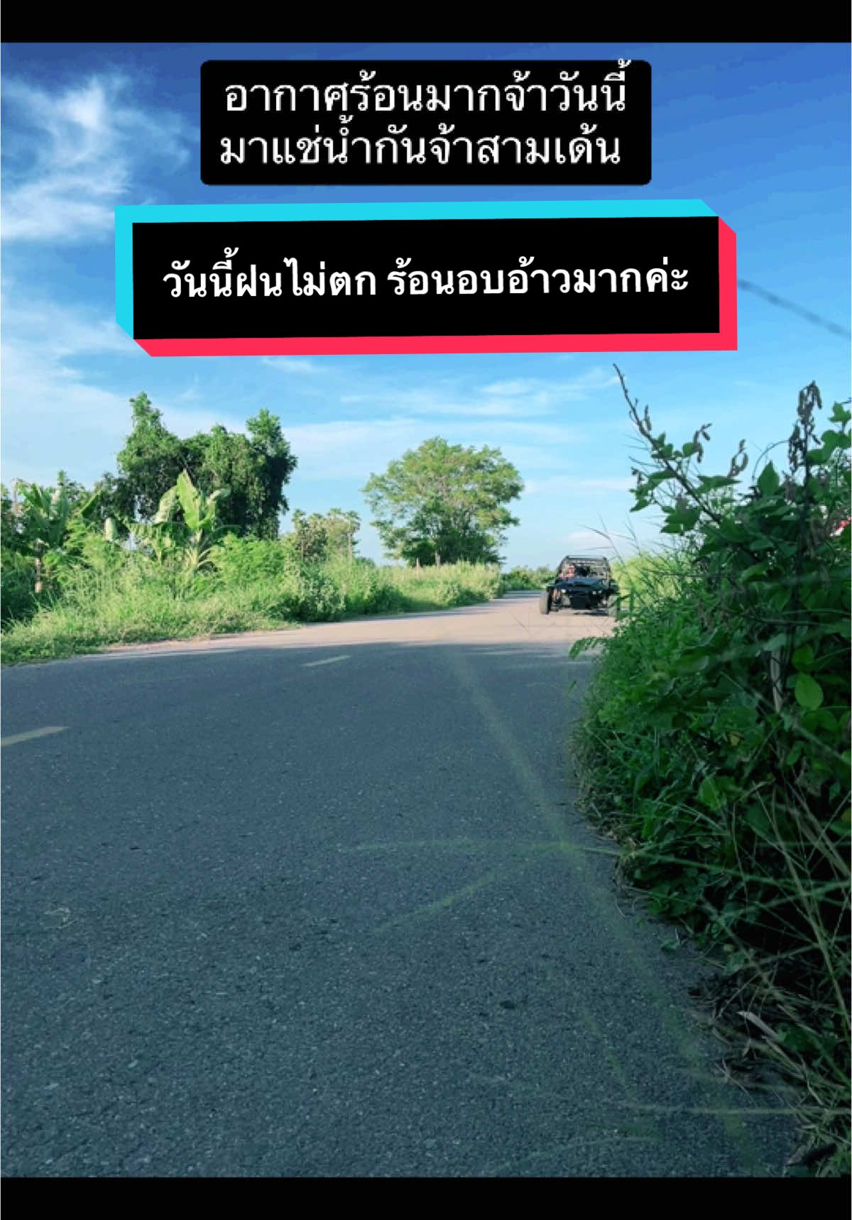 ร้อนๆแบบนี้สามเด้นมาแช่น้ำกันจ้า #นานาลูน่ามาเล่ย์ #โกลเด้นเป็นหมาตลก #หมาเล็กน่ารัก #หมาเด็ก🐶 #thailand🇹🇭 