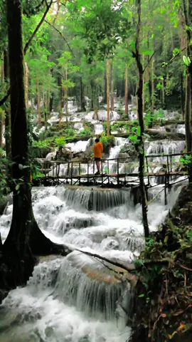 AIR TERJUN TERINDAH DAN TERMEGAH DI BANGGAI, INDONESIA 🇮🇩🔥 Buat gue, ini terjun ini adalah air terjun terindah yang pernah gue lihat seumur hidup dan ada di Luwuk, Banggai🔥🌳  Coba komen apa air terjun terbaik yang pernah kaliat lihat dengan mata kepala sendiri? 😍 📍 Air Terjun Mokokawa, Luwuk Banggai, Indonesia #banggai #luwukbanggai #banggaikepulauan #wonderfulindonesia #pesonaindonesia #beautifuldestinations #airterjun 