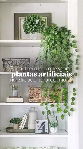 Você é apaixonada por plantas e encontrou a loja perfeita! 🪴✨🍃💚 #acheinashopee #shopeebr #plantas #maedeplanta #decor #decoracao 