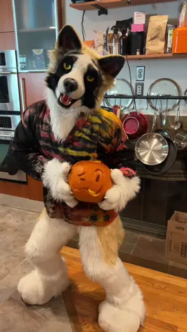 when you ask for a photo and they hit record instead 🐶📹 #furry #furrytiktok #furryfandom #fursuit 