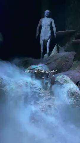 Tu & yo Wizarding world? #harrypotter #potterhead #hogwarts #gryffindor
