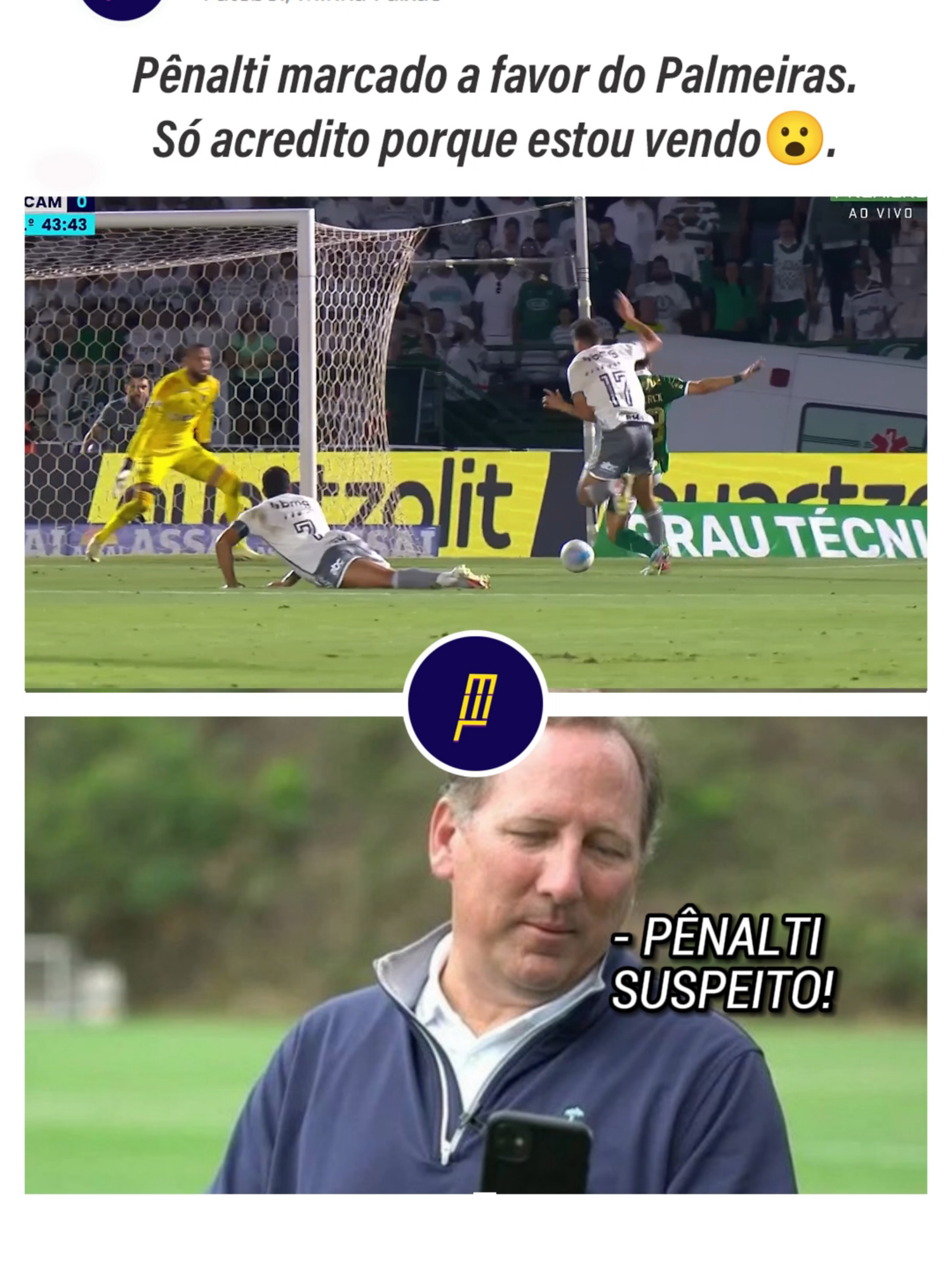 Maurício perde gol, mas árbitro marca pênalti para o Palmeiras . #palmeiras #botafogo #brasileirão