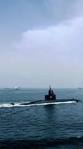 Tabah sampai akhir  #fyp #tni #tnial #navy #kapalselam #nanggala402 #alugoro405 