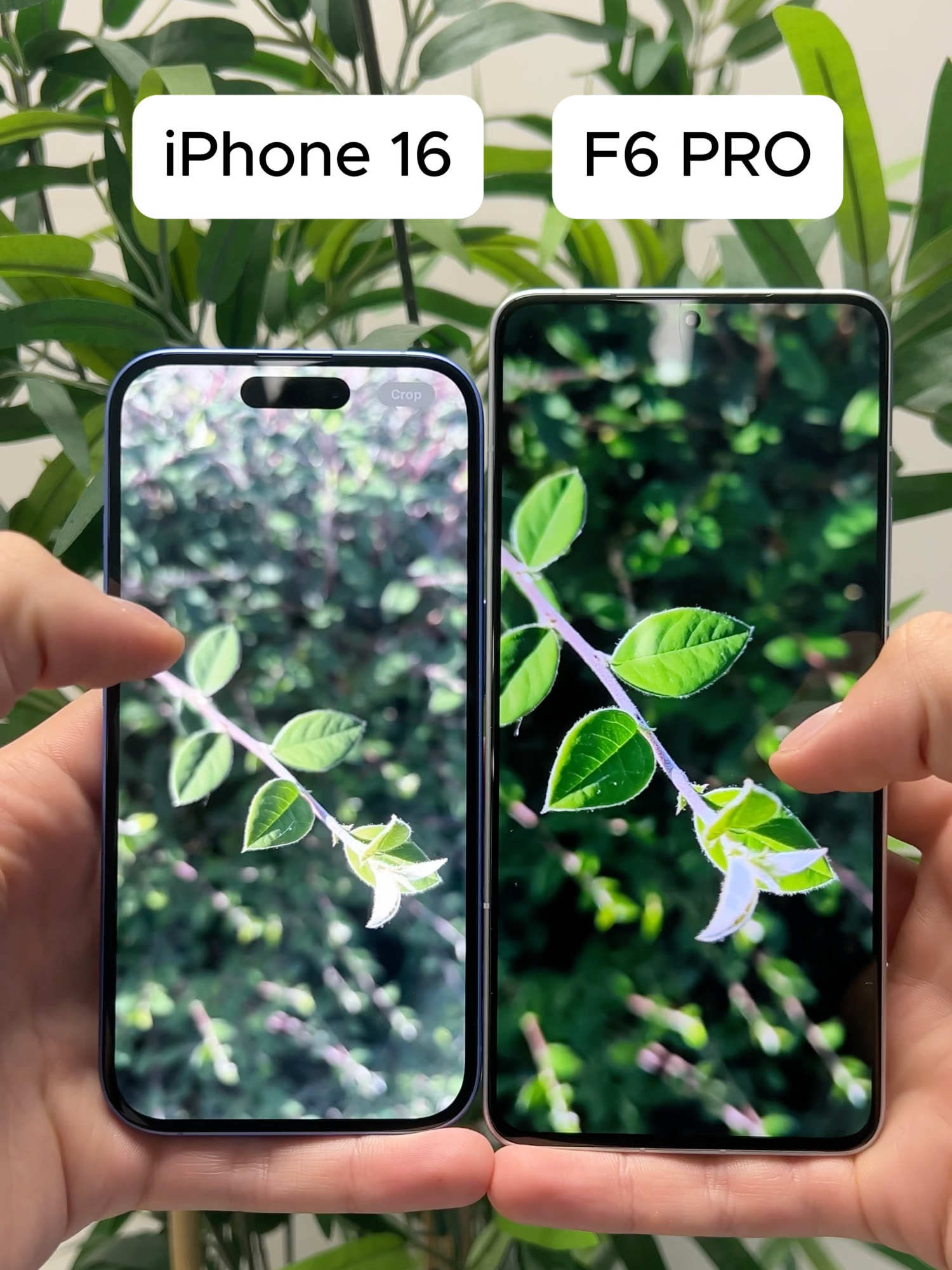 ¡500€ de DIFERENCIA! iPhone 16 vs POCO F6 PRO  #iphone16 #review #poco #techie #technology #unboxing