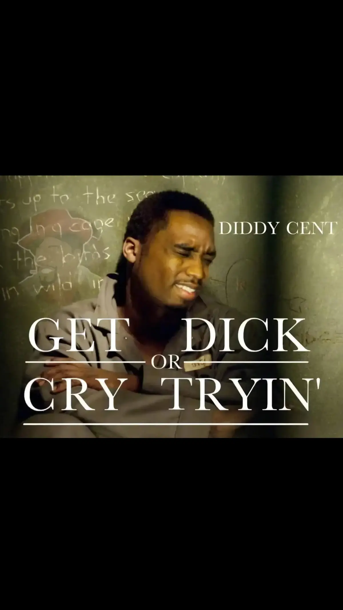 #diddy #diddler #fyp #thedidler #memestiktok #meme 