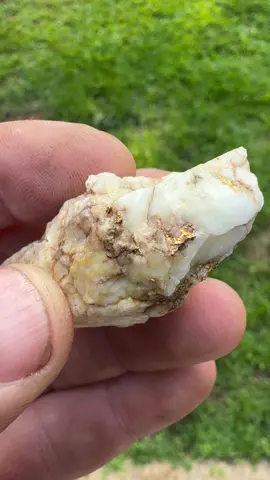 Gold Specimen found with the Minelab GPX6000 gold detector! #minelabanz #minelab #gpx6000 #darwin #nt #northernterritory 