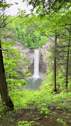 Chasing waterfalls⛰️ Youtube video out. Link in description #telugu #teluguvlogs #teluguabbai #teluguusa #desi #indian #teluguvideos #usa #usavlog #usavlogs #motorcycle #motovlog #automobile #nature #mountains #naturevibes #waterfall 