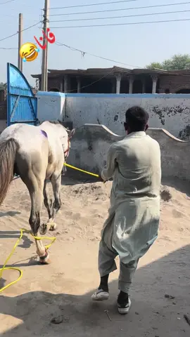 #فانابرینڈ✌️❣️😎 #😂😂🤣🤣🤣🤣🤣 #fanabrand 