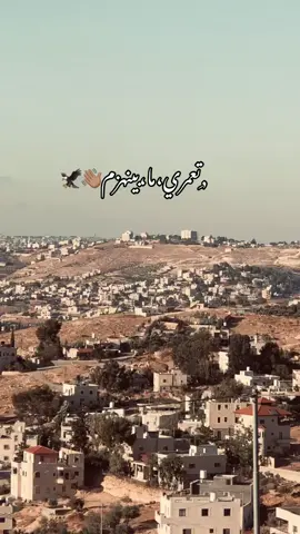 #تعمري_ما_بينهزم 👋🏽🦅 #تعمري_501_يخال🤚😎 #بيت_لحم #bethlehem #اكسبلور #تصويري📷 #عباراتكم_الفخمه📿📌تجبرني_انشر 