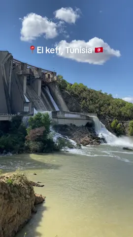 📍Neber el kef, Tunisia 🇹🇳 #rotaracttunisgolfe #rotaract #rotary #tunisia #tunisia #tunisie #tunisia🇹🇳 #viral #fyp #fyppppppppppppppppppppppp #trending #discover 
