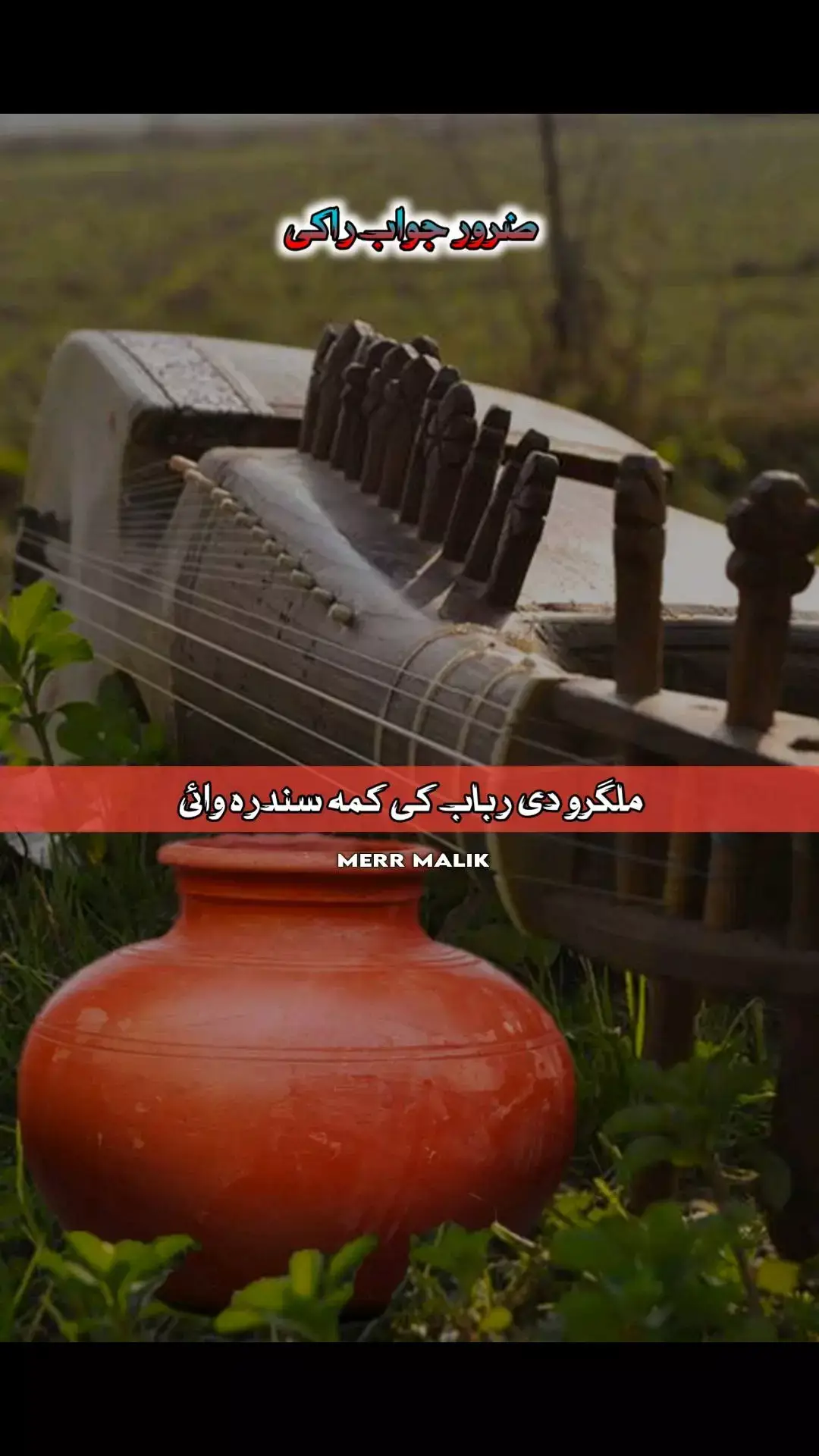 🦋⁦(⁠✿⁠ ⁠♡⁠‿⁠♡⁠)⁩🍂⁦(⁠◍⁠•⁠ᴗ⁠•⁠◍⁠)⁠❤⁩🌻 ملگرو دی رباب کی کمه سندرہ وائی #pashto_Song #Merrmalik♥️🦋💔💯 #fypLove #Pashtopoetry #growmyaccount✅ #Repost_please #پښتو #شاعرې #poetrystatus💔💔 #trending 