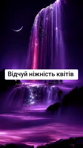 Квіти  Якщо сподобалася став лайк.