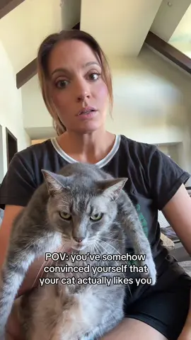 Her face is just like that tho #catsoftiktok #cattok 