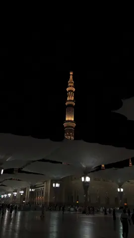 مؤذن المسجد النبوي / محمد قصاص حفظه الله ورعاه  #محمد_قصاص  #اذان_المدينة_المنورة  #اذان 