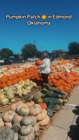 We got a lot of pumpkins and were pleasantly surprised by the selection they had!! ✨🍁🍂👻🎃 #pumpkin #pumpkinseason #pumpkins #pumpkinpatch #fall #halloween #edmond #oklahoma 