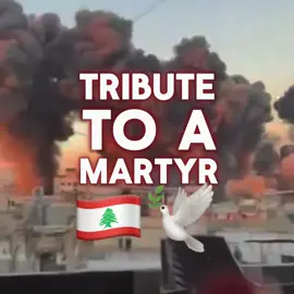 🇱🇧💔And you will know them by their fruits #fyp #lebanon #christ #nasrullah #islam #martyr #poverty #socialism  