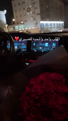 الحب الابدي❤️❤️. #explore #fyp #foryou #عسير 