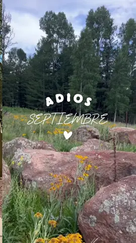 #adiosseptiembre 