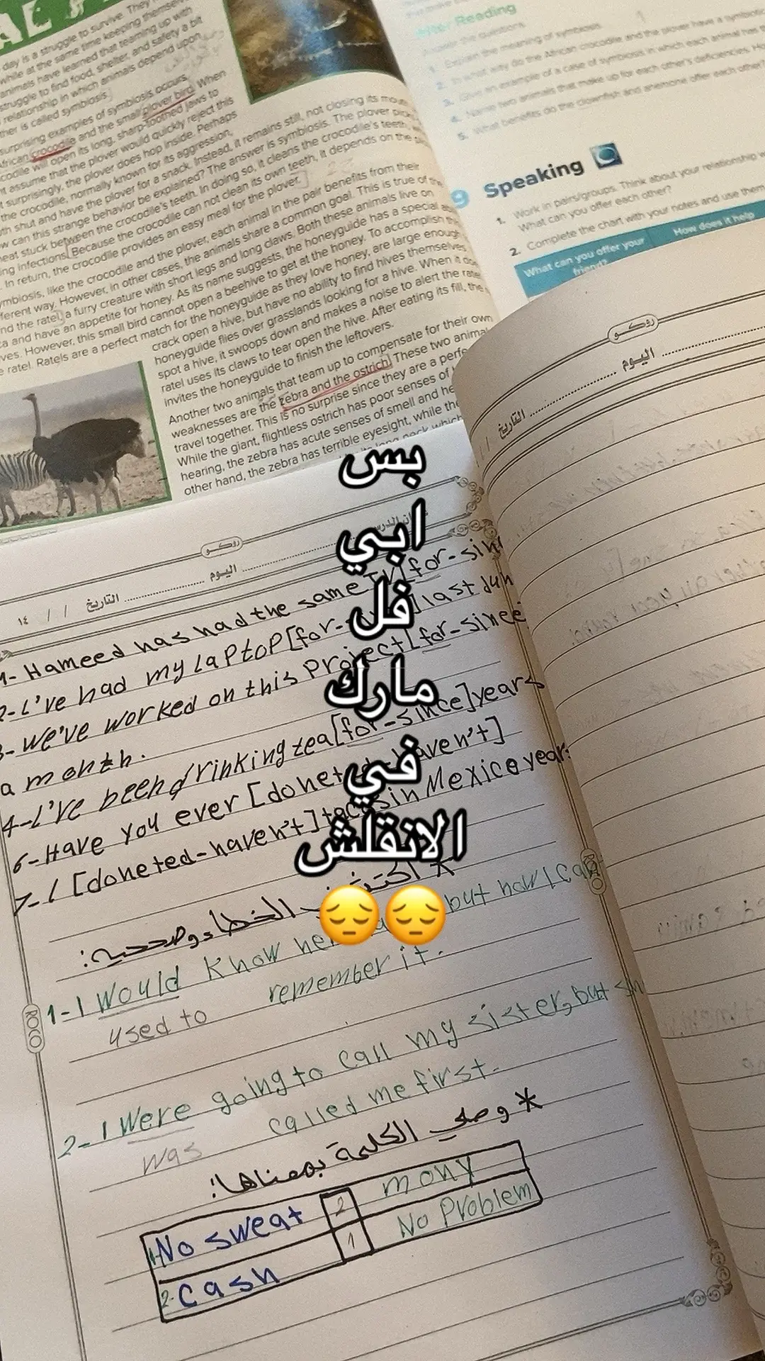 #عبدالمجيد_عبدالله #ثالث_ثانوي_مسارات #خريجة #2025 #fyp #tiktok #viral 