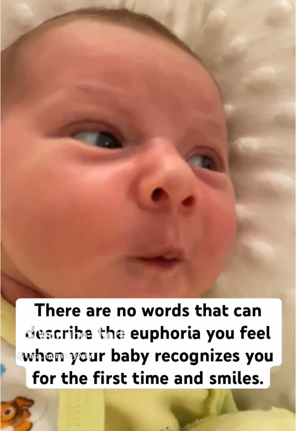 Babiesmake life worth living 🙏🏼😍🫶🏼✨ #motherhood #momlife #kids #wisewords #wisethoughts #baby #babies 
