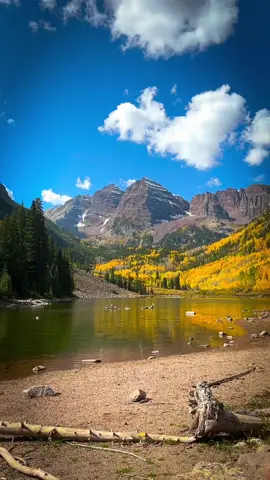 When you visit the most picturesque place in America at peak Fall Foilage.  WOW! 📍Maroon Bells, CO  #maroonbells #aspen #aspencolorado #lake #fall #fallorado  #fallincolorado #coloradofall #fallorado2024 #goldorado #goldaspens #aspentrees #coloradoaspens #aspentreesfall #fallcolors #autumn #fallfoilage #wheretoseefall  #coloradofall #coloradofallcolors #coloradofallcolors2024 #autumnphotography  #autum2024 #aspen #aspentrees #coloradoaspentrees #fallphotography #mountains #rockymountains #themountainsarecalling 