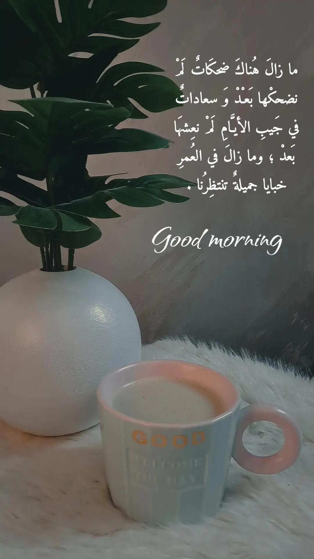 #صباح-الخير #صباح-فيروزي #