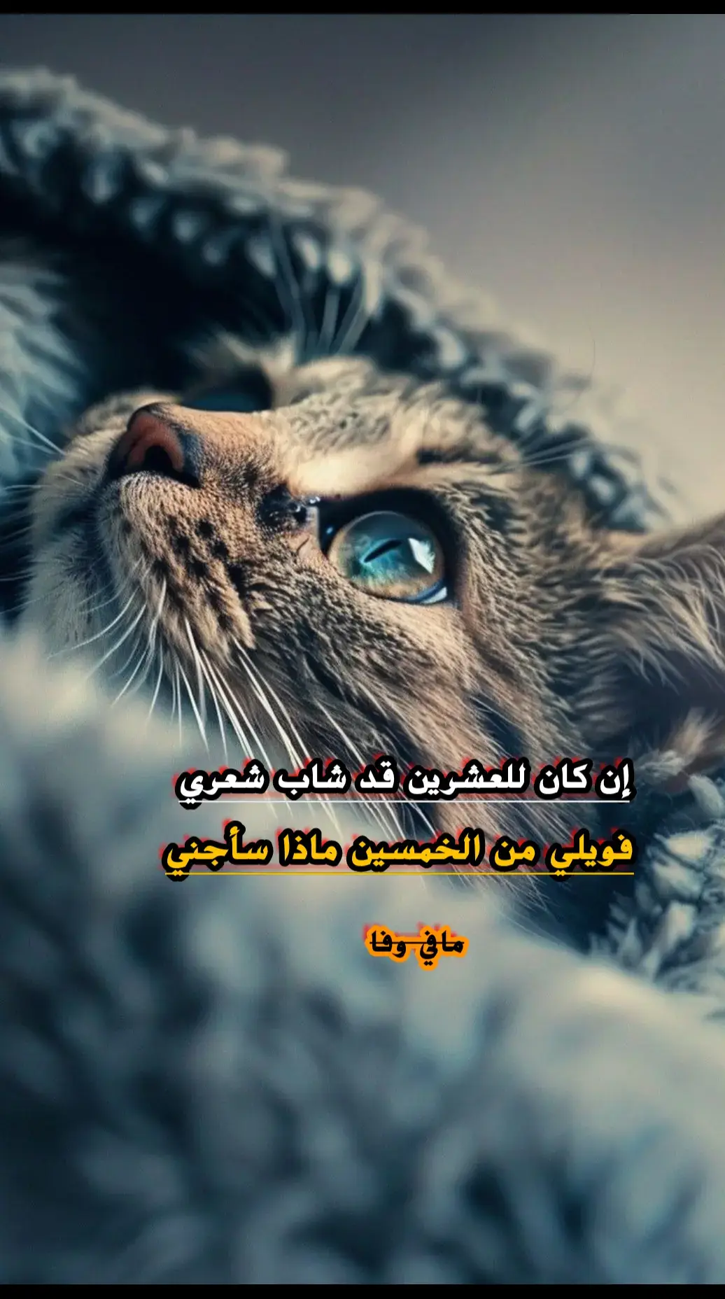 إن كان للعشرين قد شاب شعري #مافي_وفااا🖤 #فاقد_الوفى🖤 #عبارات_حزينه💔 #الشعب_الصيني_ماله_حل😂😂😂 #fypシ 