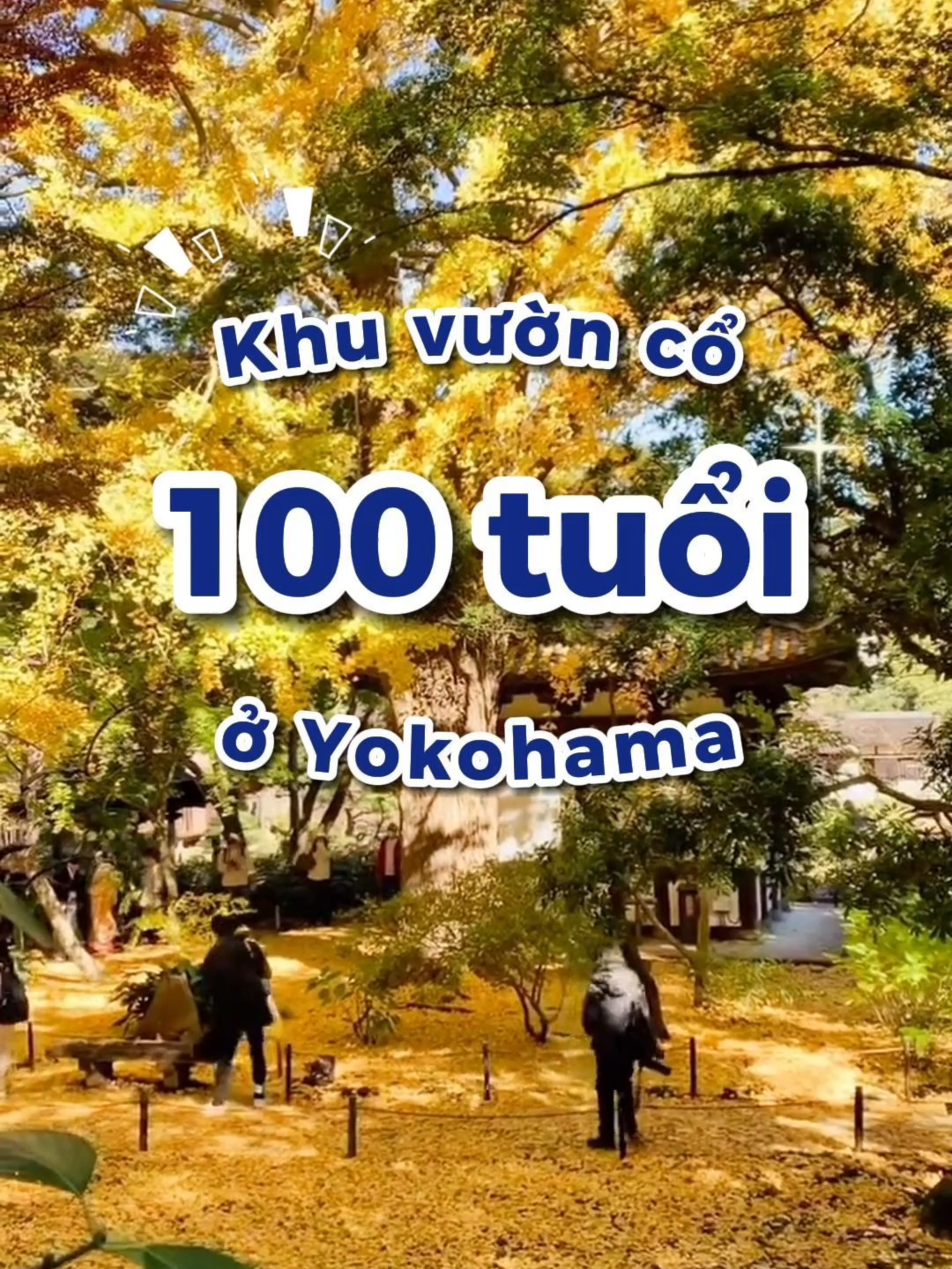 Bật mí đến bạn một điểm nhấn mùa thu lãng mạn tại cảng Yokohama. Một khung cảnh hữu tình với nhiều loại hoa cỏ khoe sắc, và cùng khám phá khu vườn cổ lâu đời trên 100 năm tuổi ở Yokohama!!! #goemon #goemonvietnam #nhatban #japan #yokohama #横浜 #Sankeien #kyoto #燈明寺 #kanagawa