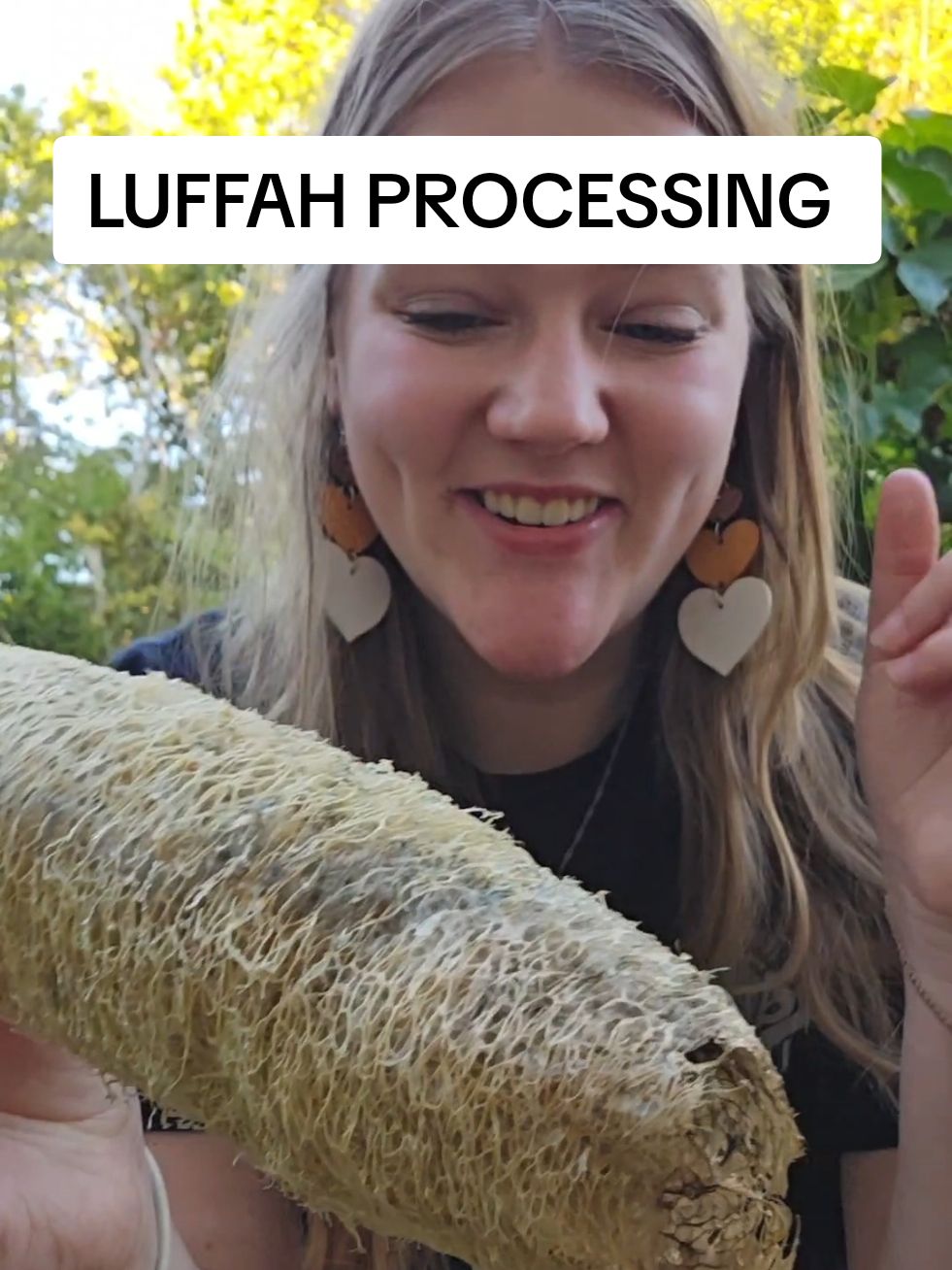 PROCESSING LUFFAH  this gourd is one of my favorite things i grew in my garden this year. Theres so many uses for it, and you can even eat it when its young! Its super fun to shake around and play with, too. Happy gardening! #garden #gardening #happygardening #luffah #luffa #seeds #harvest #organic #seed #CapCut 