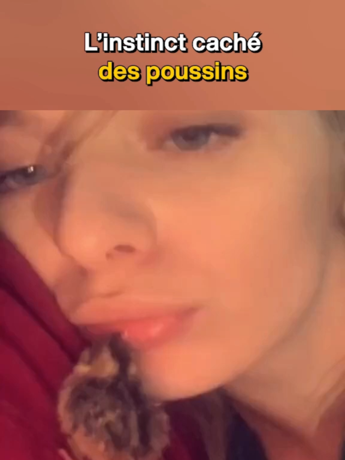 L'instant caché des poussins #apprendresurtiktok #poussins