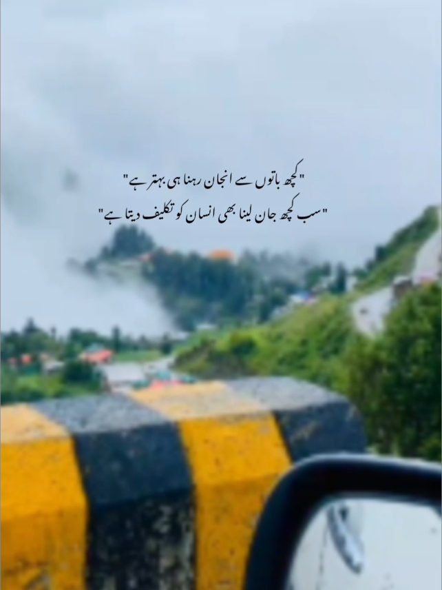 کچھ باتوں سے انجان رہنا ہی بہتر ہے⚡❣⚡#view+like issue#grow #1millionaudition #fyp #foryoupage #poetry #aesthetic #urdulines🥀 #urdupoetry #best #viral #view 