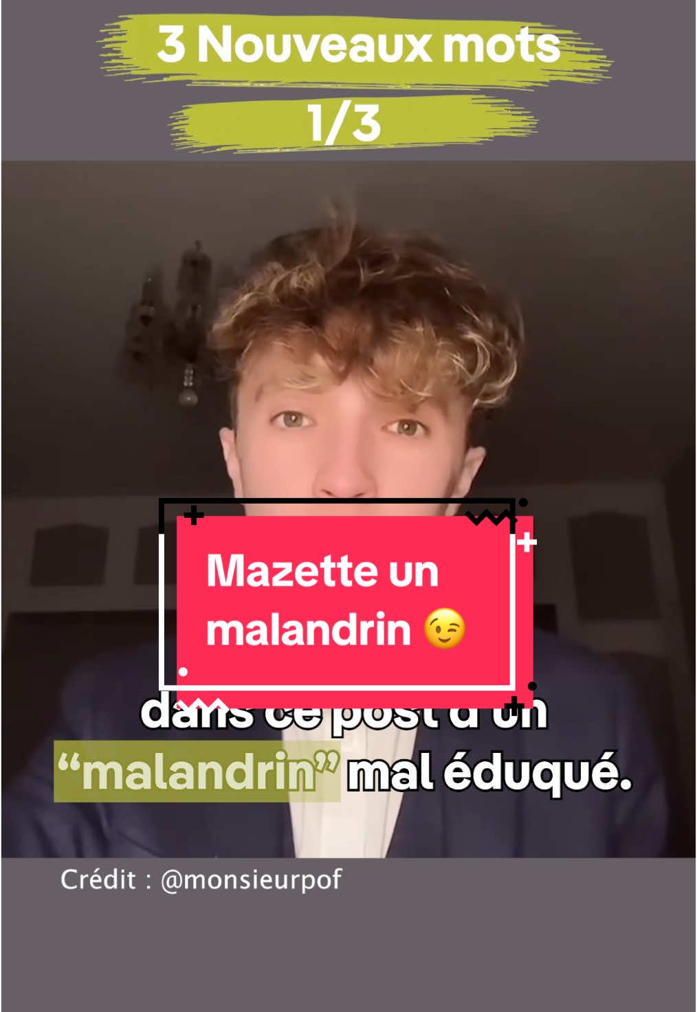 Mazette un malandrin !  #languefrançaise #apprendrelefrançais #apprendresurtiktok #sinformersurtiktok #expressionsfrançaises 