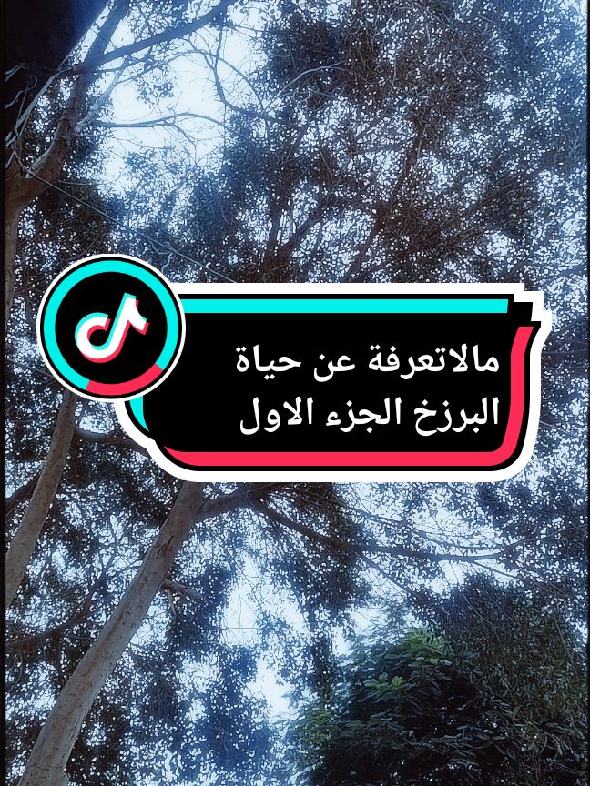 مالاتعرفة عن حياة البرزخ الجزءالأول