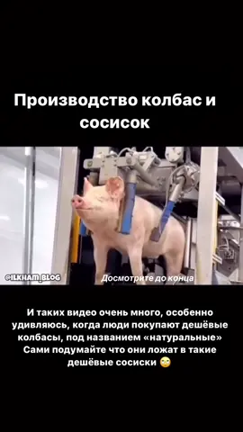 В 2012-м году я открыла свой первый цех по производству полуфабрикатов, и вот уже более 12-ти лет я в этом бизнесе и к сожалению это правда! 😶‍🌫️ Многие колбасные заводы используют свинину, так как без неё очень сложно добиться хорошей консистенции и она придает клейковину✅ Сейчас я обучаю людей готовить натуральную колбасу в домашних условиях  без добавления каких-либо добавок и тд👩‍🍳 #обучение #колбасы #домашниеколбасы #халал #зароботок #fakesituation⚠️ 