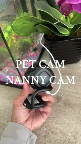 but why do we do this? 😭😂 they’re fine momma! You can relax. Especially with your $12 camera.  @QtechShop  #securitycamera #nannycam #homesecurity #falldealsforyou 