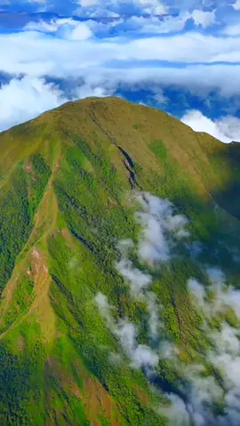 PUÑAY lugar de renacimiento⛰️🌄 Se parte de nuestras aventuras seguras. Separa tu cupo. #tattoo #loreentattoo #lyric #viral #songlyric  #cerropuñay #puñay #camping #paisaje #cerro #ecuador #turismo #atardecer #Dji #mountain #montaña #treeking 📹📷@PablitoTravel 🏔️👨🏻‍🚀  @Moji_cat 👾  @Suárez 🍀  @Maxxnet  @Seguro Aventura  @Chicho Salazar @krear @Luis Tierra 