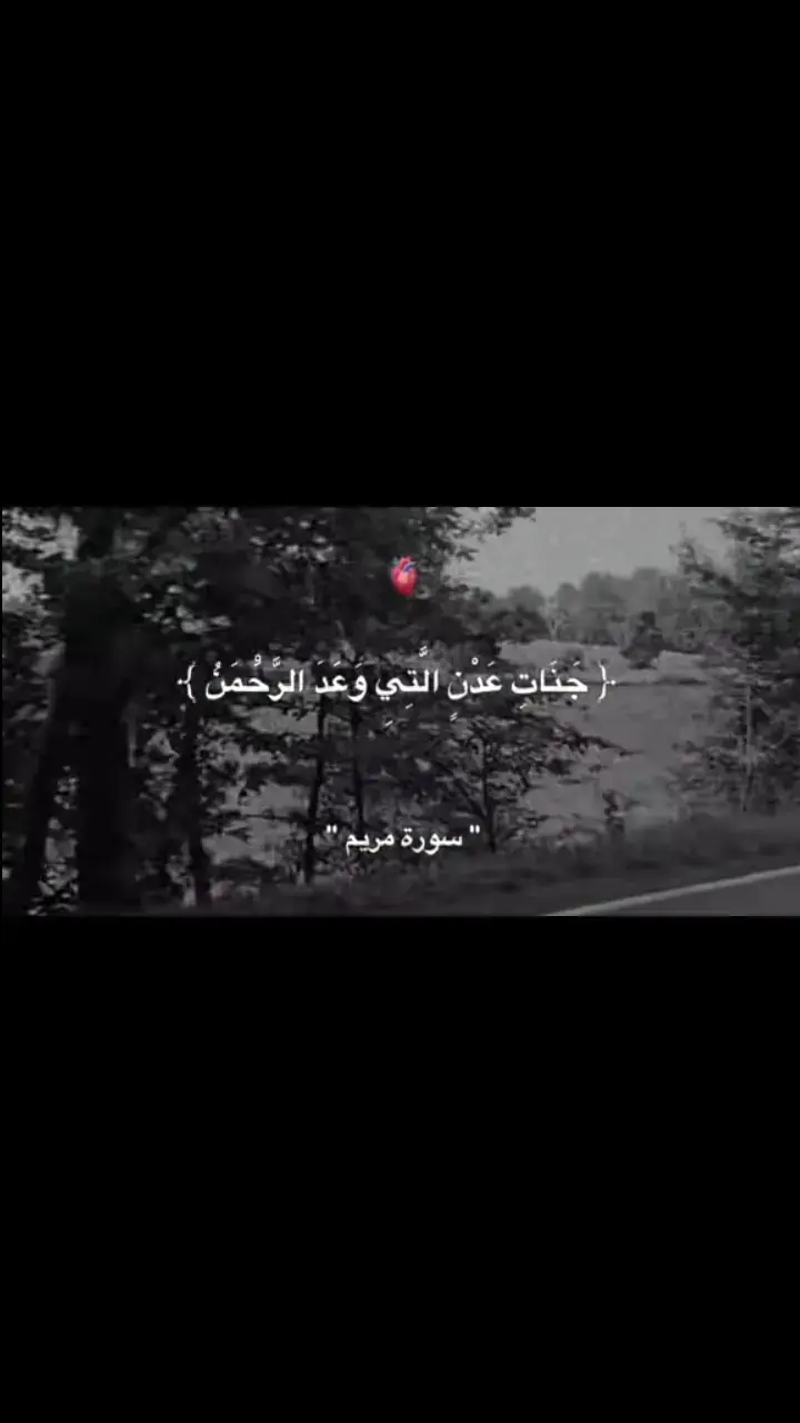 #وديع_اليمني || #سورة_مريم 