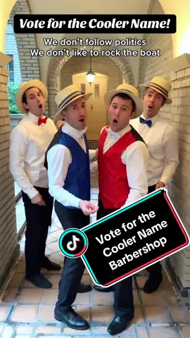Get out and vote… FOR THE COOLER NAME!  Full song now on all streaming platforms. Check it out! #comedy #funnysong #election #vote 
