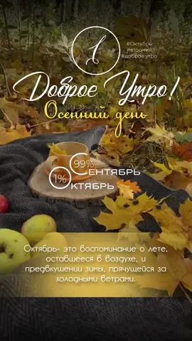 #осеннеевдохновение #доброеутро #октябрь #сторис #утродоброе #осеннийдень 