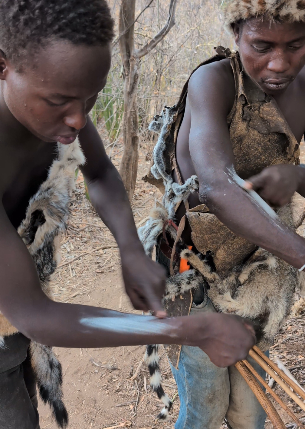 Hadzabe boys applying a natural mosquito repellent from Tree#tiktokindia #africastories #hadzabetribe