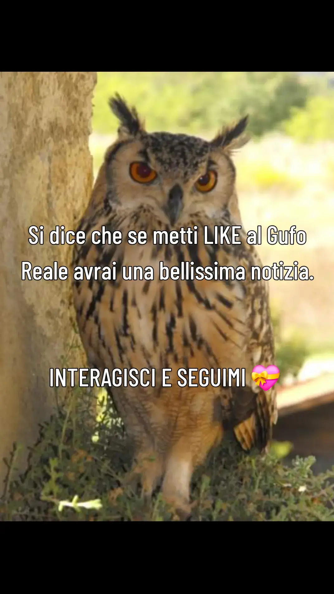 #interagisci🍀✨ #karma #perte #foryou #foryourpage #tarocchi #tarocchiinterattivi #tarot #tarotreading #interattivi #cartomanzia 