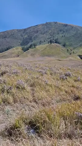 bromo bikin candu #fyp #bromotenggersemeru 