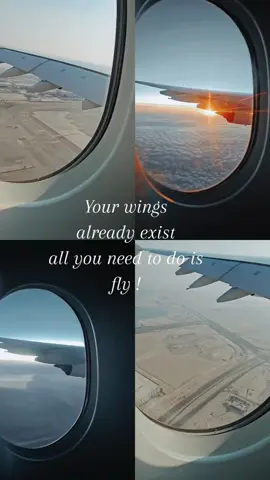 #CapCut #fly #flypシ #fyp 