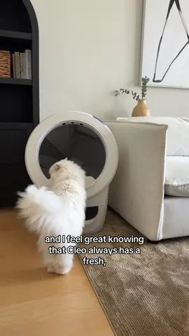 Only the best for the princess 💅 @Litter-Robot #litterrobotpartner #persiancat 