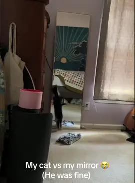 Cat and Mirror😹🤣#kitten #funny #funnycats #funnypets #funnyanimasl #fyp #catsoftiktok #cutecat #catlover #cat #foryou 