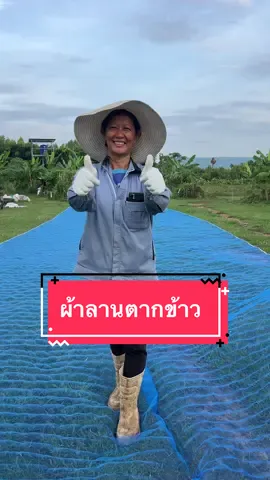 ผ้าลานตาก ข้าว ผืนเดียวยาวๆไม่มีรอยต่อ #ผ้าลานตากข้าว #ผ้าลาน #ผ้าลานตากผลผลิต 